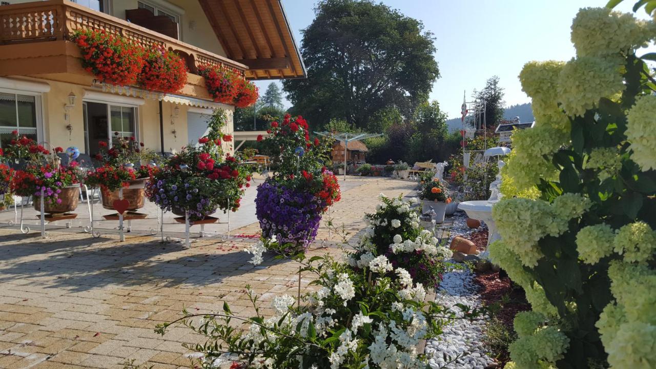 Appartement Rehblick Eisenbach  Εξωτερικό φωτογραφία