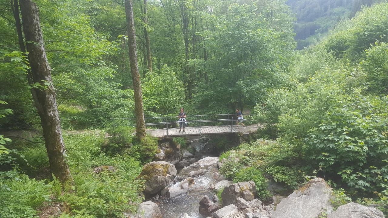 Appartement Rehblick Eisenbach  Εξωτερικό φωτογραφία
