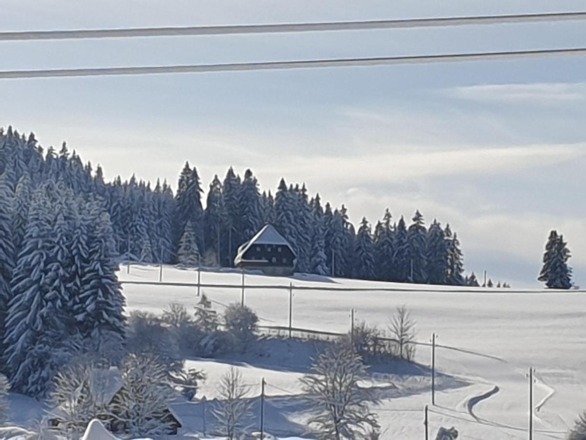 Appartement Rehblick Eisenbach  Εξωτερικό φωτογραφία