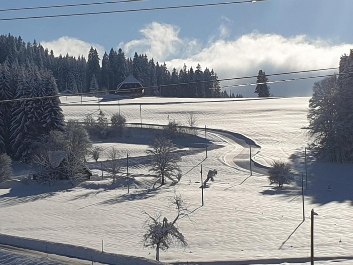 Appartement Rehblick Eisenbach  Εξωτερικό φωτογραφία