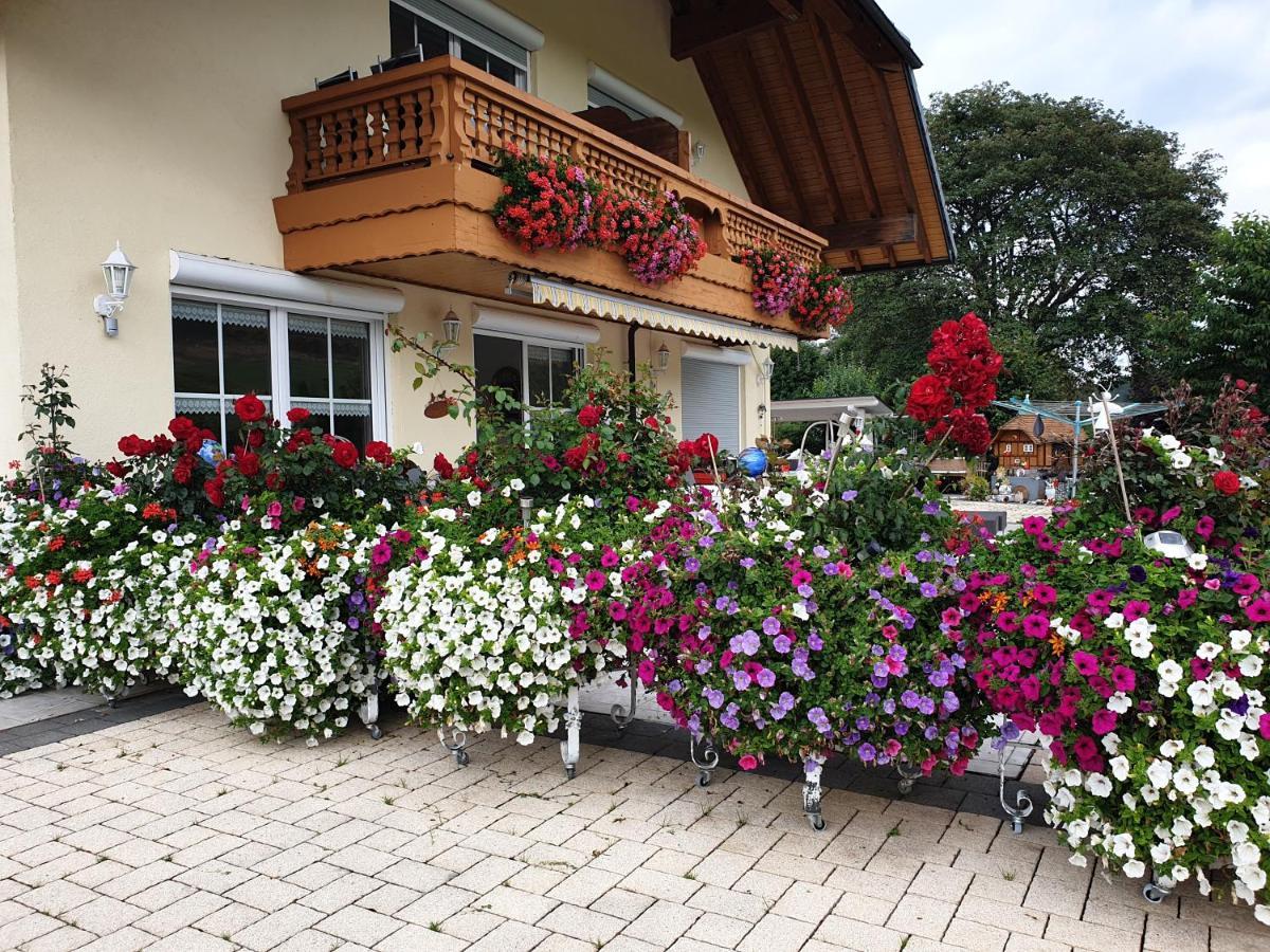 Appartement Rehblick Eisenbach  Εξωτερικό φωτογραφία