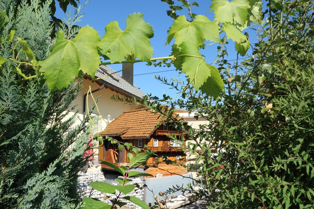 Appartement Rehblick Eisenbach  Εξωτερικό φωτογραφία