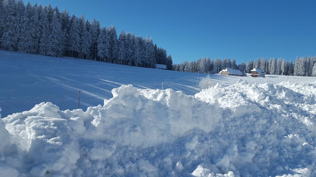 Appartement Rehblick Eisenbach  Εξωτερικό φωτογραφία