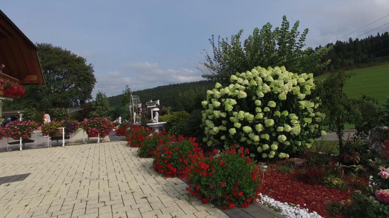 Appartement Rehblick Eisenbach  Εξωτερικό φωτογραφία